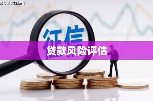 金湖贷款风险评估