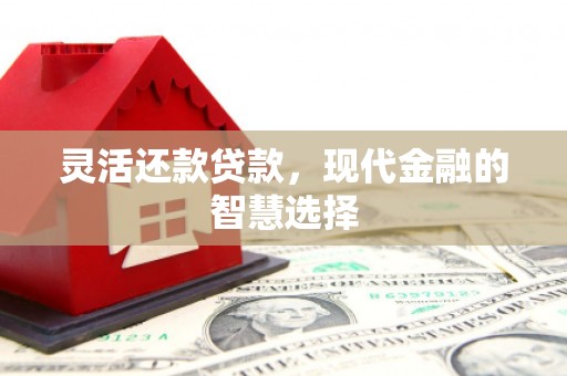 金湖灵活还款贷款，现代金融的智慧选择