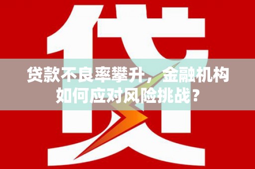 金湖贷款不良率攀升，金融机构如何应对风险挑战？