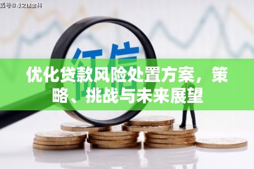 金湖优化贷款风险处置方案，策略、挑战与未来展望