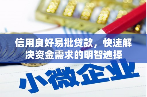 金湖信用良好易批贷款，快速解决资金需求的明智选择