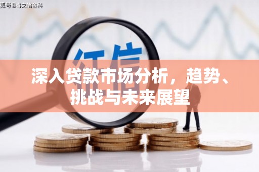 金湖深入贷款市场分析，趋势、挑战与未来展望