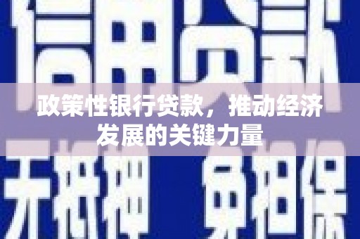 金湖政策性银行贷款，推动经济发展的关键力量