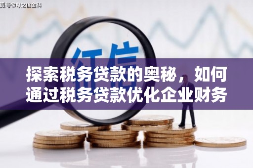 金湖探索税务贷款的奥秘，如何通过税务贷款优化企业财务