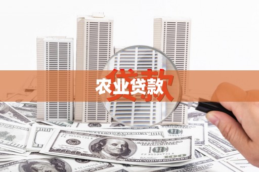 金湖农业贷款