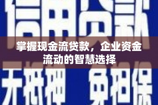 金湖掌握现金流贷款，企业资金流动的智慧选择