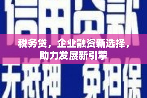 金湖税务贷，企业融资新选择，助力发展新引擎