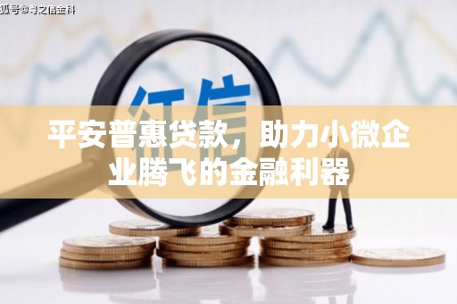 金湖平安普惠贷款，助力小微企业腾飞的金融利器