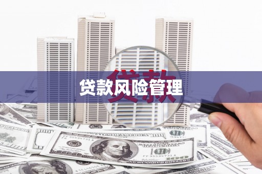金湖贷款风险管理