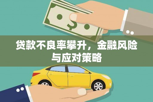 金湖贷款不良率攀升，金融风险与应对策略