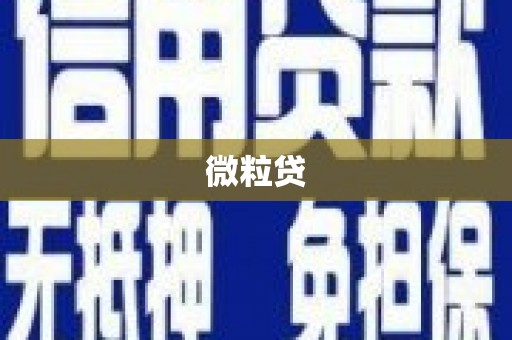 金湖微粒贷