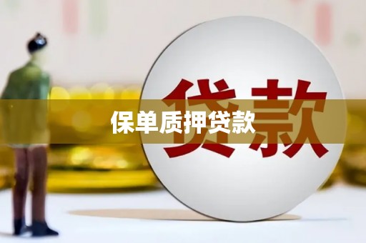 金湖保单质押贷款