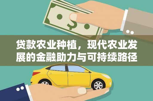 金湖贷款农业种植，现代农业发展的金融助力与可持续路径
