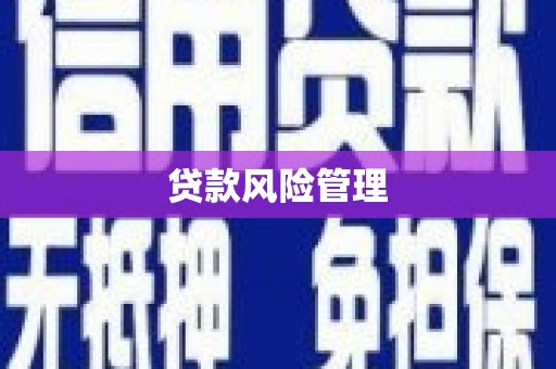 金湖贷款风险管理