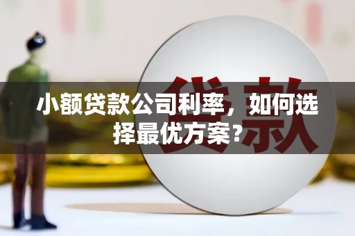 金湖小额贷款公司利率，如何选择最优方案？