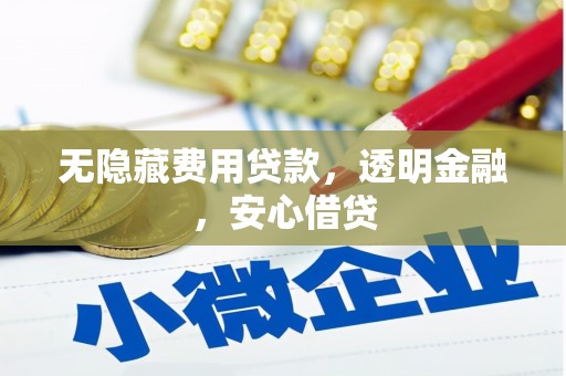 金湖无隐藏费用贷款，透明金融，安心借贷