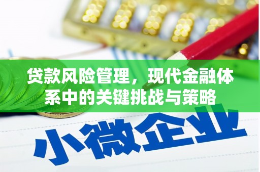 金湖贷款风险管理，现代金融体系中的关键挑战与策略