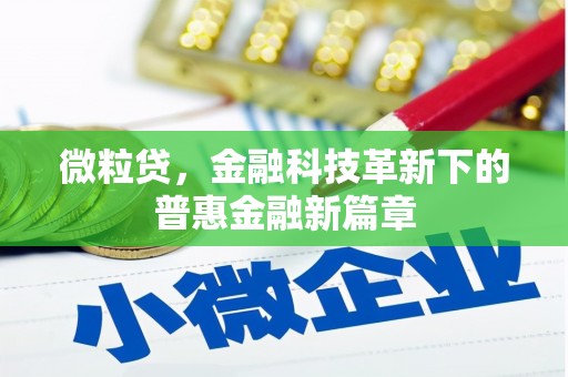 金湖微粒贷，金融科技革新下的普惠金融新篇章