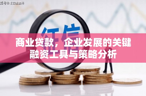 金湖商业贷款，企业发展的关键融资工具与策略分析