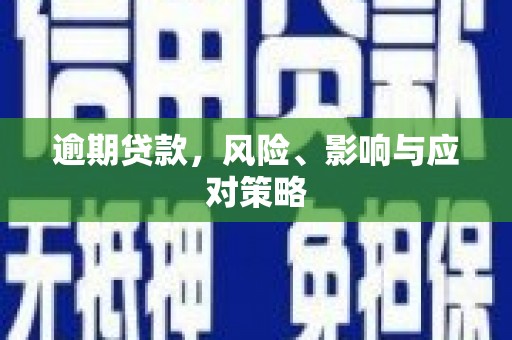 金湖逾期贷款，风险、影响与应对策略