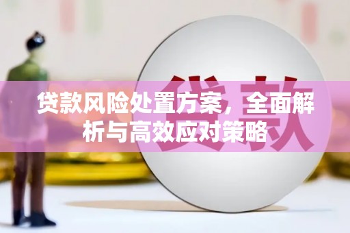 金湖贷款风险处置方案，全面解析与高效应对策略