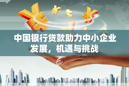 金湖中国银行贷款助力中小企业发展，机遇与挑战
