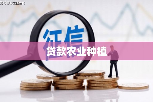 金湖贷款农业种植