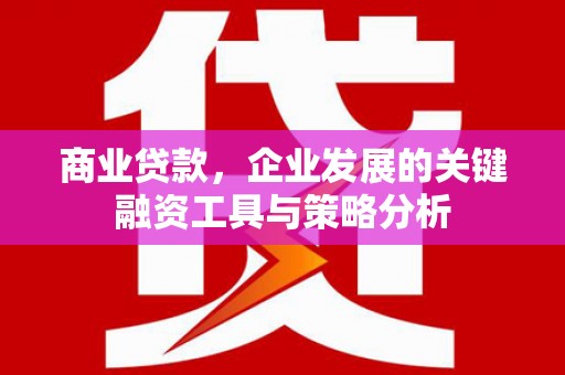金湖商业贷款，企业发展的关键融资工具与策略分析
