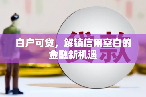 金湖白户可贷，解锁信用空白的金融新机遇