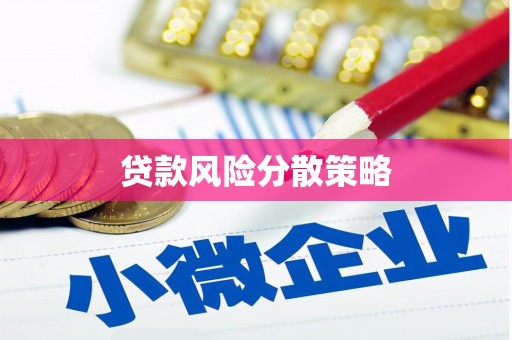 金湖贷款风险分散策略
