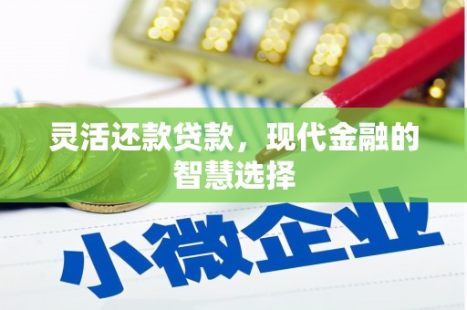金湖灵活还款贷款，现代金融的智慧选择