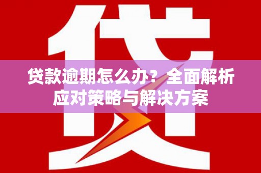 金湖贷款逾期怎么办？全面解析应对策略与解决方案