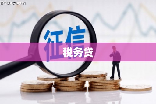 金湖税务贷