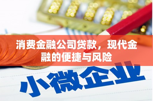 金湖消费金融公司贷款，现代金融的便捷与风险