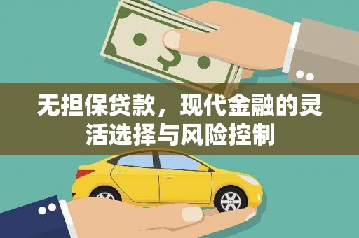 金湖无担保贷款，现代金融的灵活选择与风险控制
