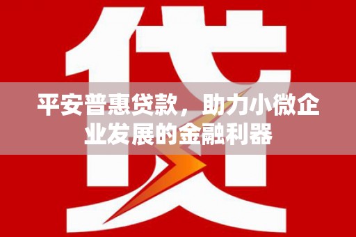 金湖平安普惠贷款，助力小微企业发展的金融利器