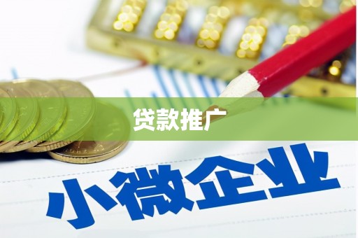 金湖贷款推广