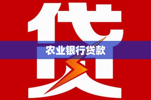 金湖农业银行贷款