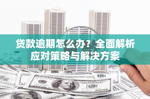 金湖贷款逾期怎么办？全面解析应对策略与解决方案