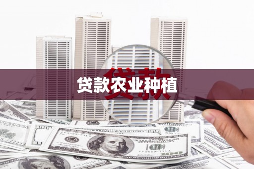 金湖贷款农业种植