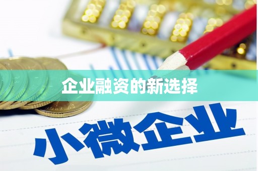 金湖企业融资的新选择