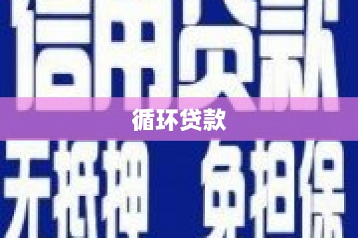 金湖循环贷款