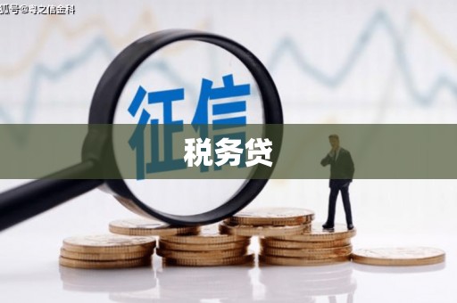 金湖税务贷