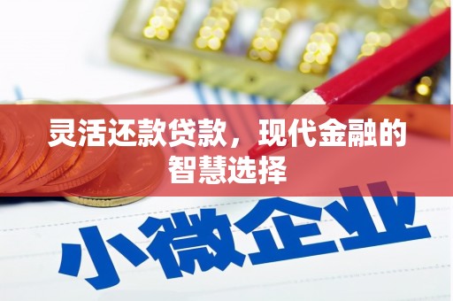 金湖灵活还款贷款，现代金融的智慧选择