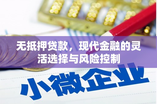 金湖无抵押贷款，现代金融的灵活选择与风险控制