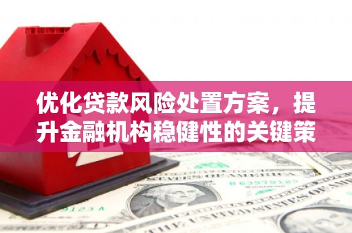 金湖优化贷款风险处置方案，提升金融机构稳健性的关键策略