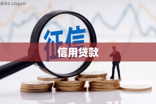 金湖信用贷款