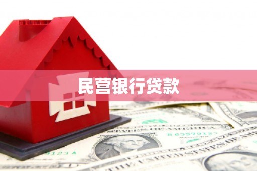 金湖民营银行贷款