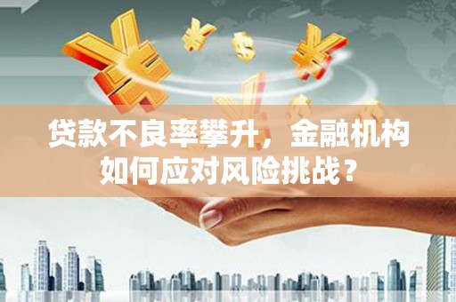 金湖贷款不良率攀升，金融机构如何应对风险挑战？