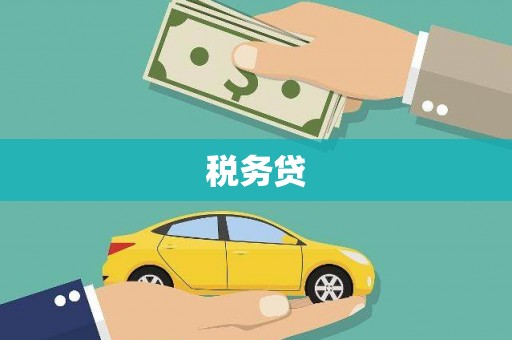 金湖税务贷